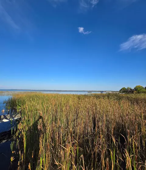 View/Area - 18302 Johnson Rd, Brainerd, MN 56401 photo 5 of 6