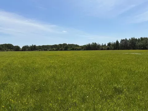 tbd B 180th St, Milaca, MN 56353 photo 29