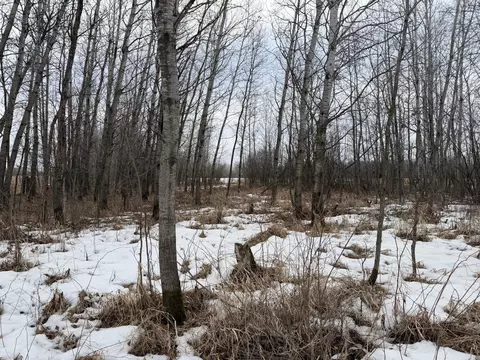 tbd B 180th St, Milaca, MN 56353 photo 36