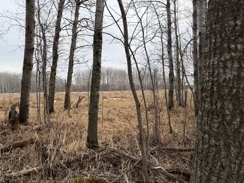 tbd B 180th St, Milaca, MN 56353 photo 41