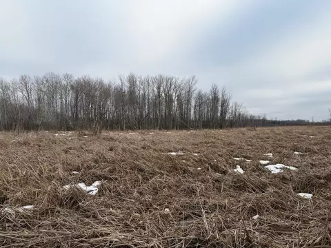 tbd B 180th St, Milaca, MN 56353 photo 59