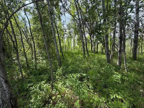 tbd B 180th St, Milaca, MN 56353 photo 22