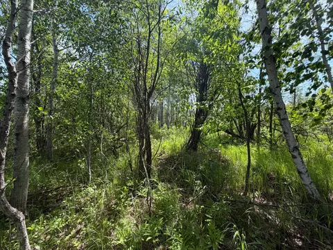 tbd B 180th St, Milaca, MN 56353 photo 16