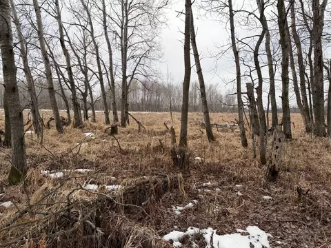 tbd B 180th St, Milaca, MN 56353 photo 56