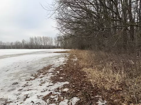 tbd B 180th St, Milaca, MN 56353 photo 38