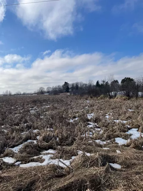 1239 Quail St, Braham, MN 55006