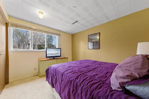1114 Maple St S, Northfield, MN 55057 photo 33
