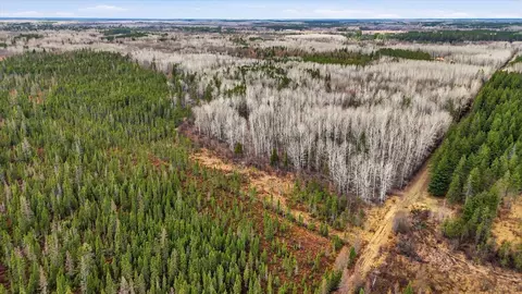 tbd Town Rd #55, Big Falls, MN 56627