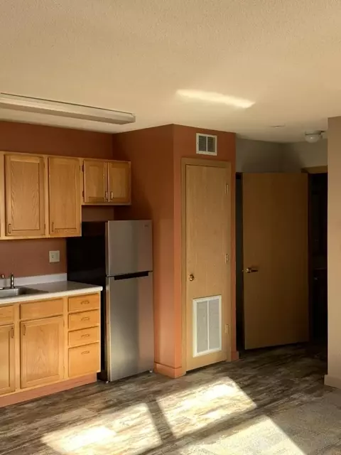 Kitchen - 31 Chestnut St E # 4, Trimont, MN 56176 photo 3 of 5