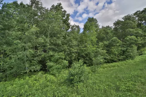 tbd Percheron Dr, Breezy Point, MN 56472 photo 3