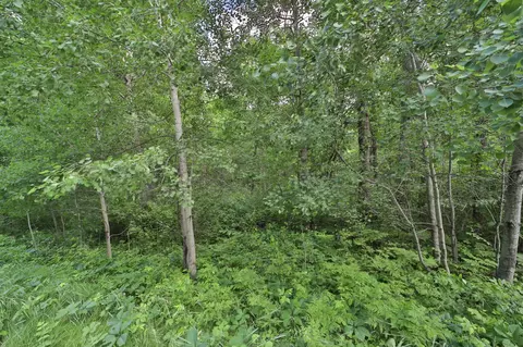 tbd Percheron Dr, Breezy Point, MN 56472 photo 6