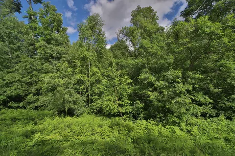 tbd Percheron Dr, Breezy Point, MN 56472