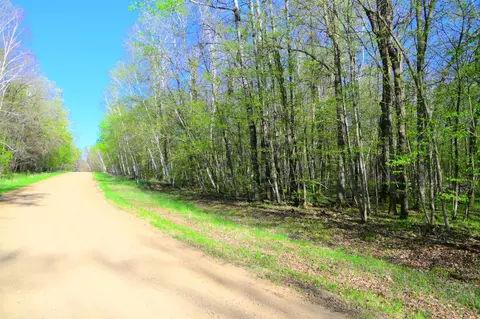 27152 Ode Cir, Browerville, MN 56438