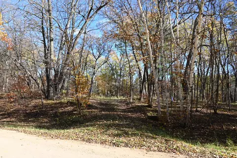 39906 Pine Island Pt Dr, Browerville, MN 56438