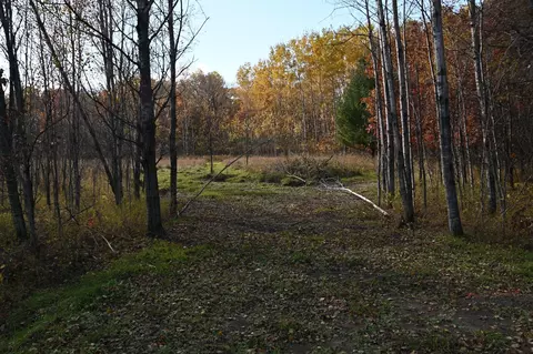 27705 Oberon Loop, Browerville, MN 56438 photo 4