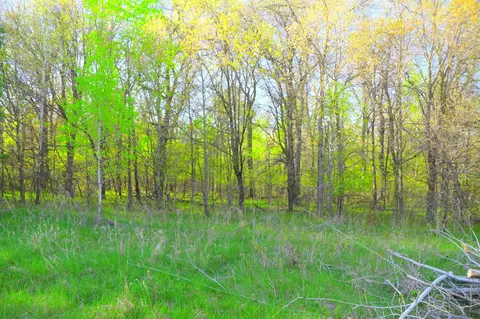27705 Oberon Loop, Browerville, MN 56438 photo 18