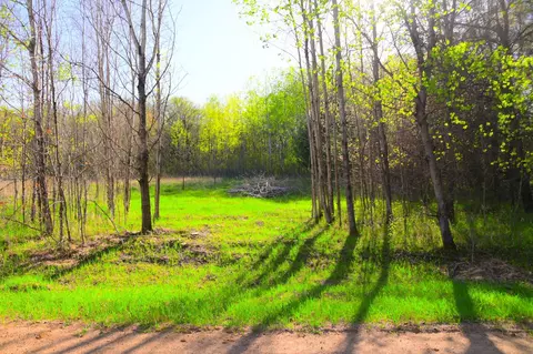 27705 Oberon Loop, Browerville, MN 56438 photo 14