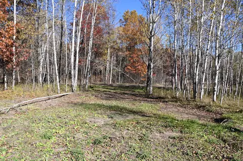 27705 Oberon Loop, Browerville, MN 56438 photo 10