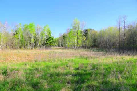 27705 Oberon Loop, Browerville, MN 56438 photo 21