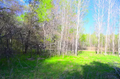 27705 Oberon Loop, Browerville, MN 56438 photo 17
