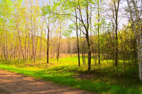 27705 Oberon Loop, Browerville, MN 56438 photo 13