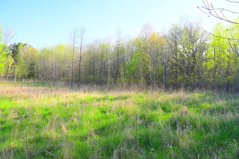 27705 Oberon Loop, Browerville, MN 56438 photo 20