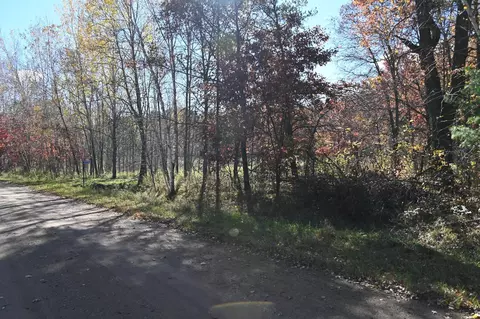 27705 Oberon Loop, Browerville, MN 56438 photo 12