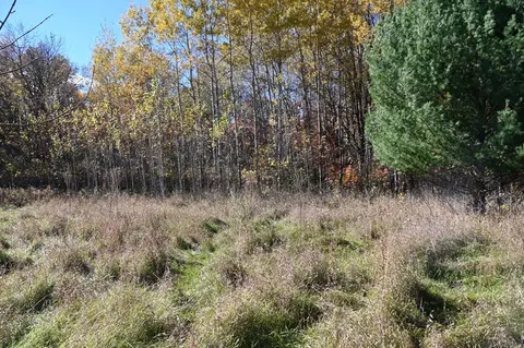 27705 Oberon Loop, Browerville, MN 56438 photo 9