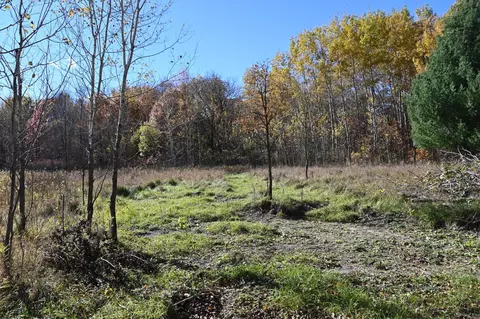 27705 Oberon Loop, Browerville, MN 56438 photo 7