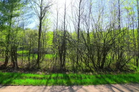 27727 Oberon Loop, Browerville, MN 56438 photo 23