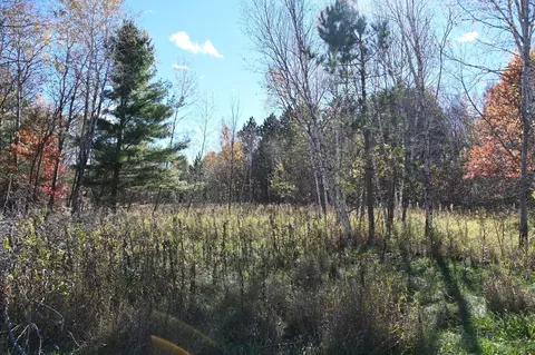 27727 Oberon Loop, Browerville, MN 56438 photo 9
