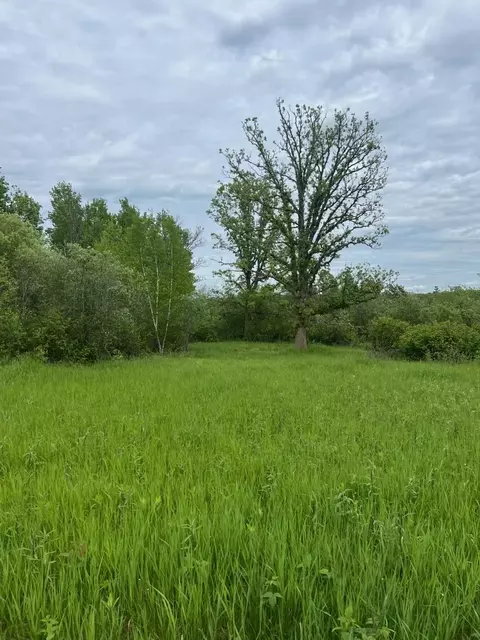 tbd Coneflower Dr SW, Pine River, MN 56474