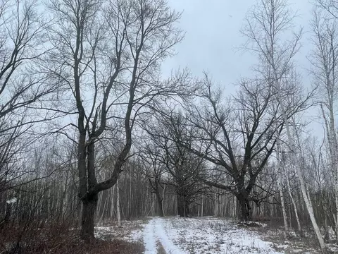 27 Nn 320th Ave, Brook Park, MN 55007