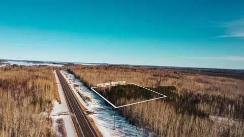 tbd Parcel 17 Hwy 115, Tower, MN 55790
