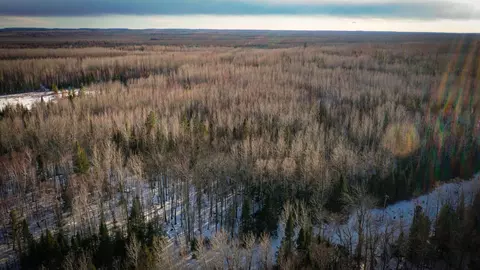 tbd Parcel S Thomas Rd, Tower, MN 55790 photo 3