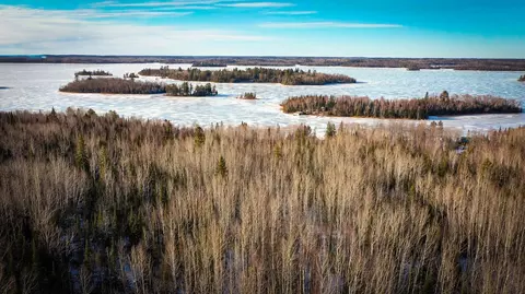 tbd Parcel S Thomas Rd, Tower, MN 55790 photo 11