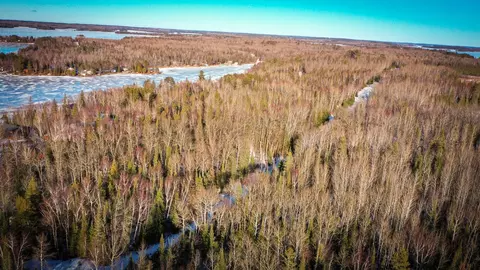 tbd Parcel S Thomas Rd, Tower, MN 55790 photo 4