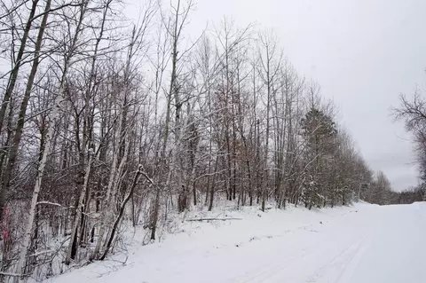 tbd Sheridan Woods Ln NE, Outing, MN 56662