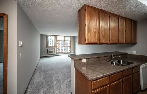 433 S 7th St #1819, Minneapolis, MN 55415