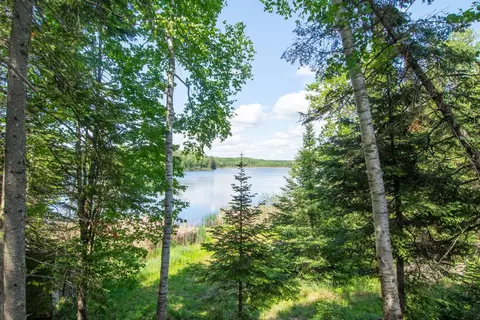 View/Area - 25440 Odonnell Ln, Bigfork, MN 56628 photo 5 of 16
