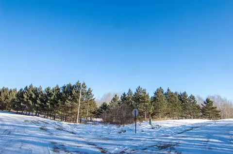 tbd 310th St, Deer Creek, MN 56527