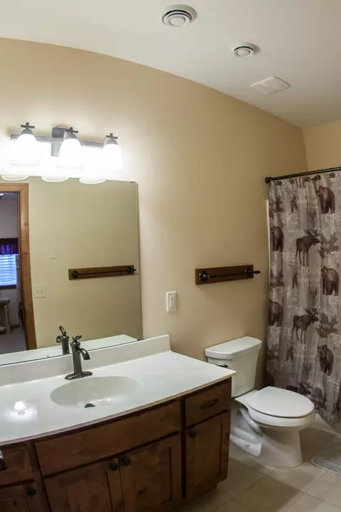 Bath - 30424 410th Street Unit 3 Cic #65, Dent, MN 56528 photo 3 of 3