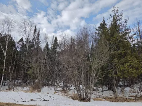 tbd Three Mile Rd NE, Blackduck, MN 56630