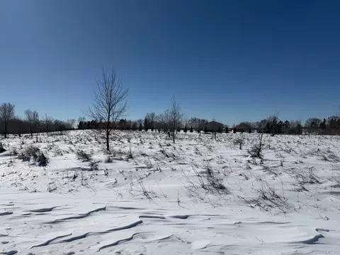 Nnnnn 415th Avenue, Perham, MN 56573