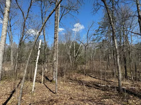 lot7 Block 1 Yellow Birch Ln, Emily, MN 56447