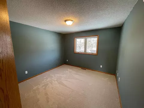 1768 245th St, Saint Augusta, MN 56301 photo 18