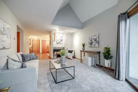 232 W Franklin Ave #303, Minneapolis, MN 55404