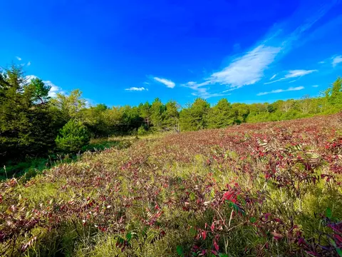 tbd Plainview Dr, River Falls, WI 54022 photo 5