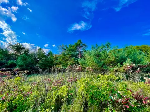 tbd Plainview Dr, River Falls, WI 54022 photo 7