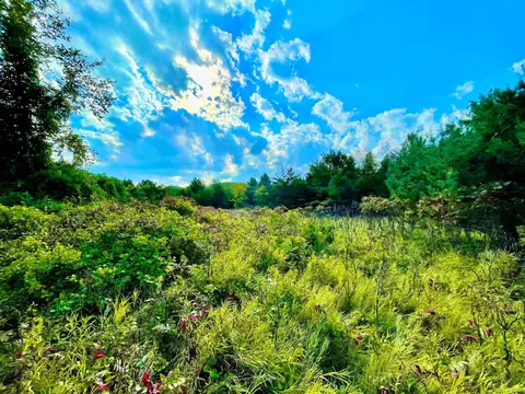 tbd Plainview Dr, River Falls, WI 54022 photo 8